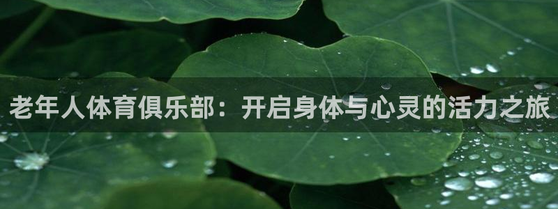 哈哈体育：老年人体育俱乐部：开启身体与心灵的活力之旅