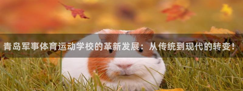 哈哈体育十年：青岛军事体育运动学校的革新发展：从传统到现代的转变！