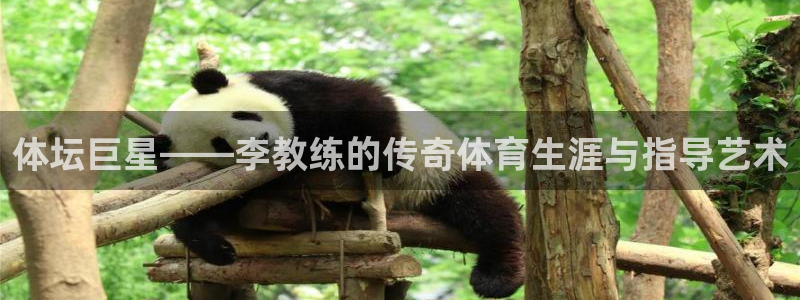 哈哈体育：体坛巨星——李教练的传奇体育生涯与指导艺术