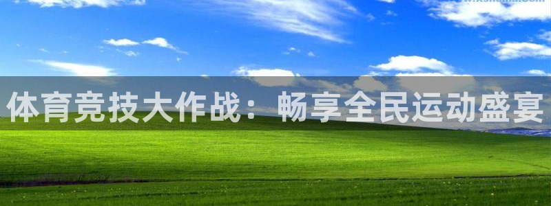 哈哈体育：体育竞技大作战：畅享全民运动盛宴