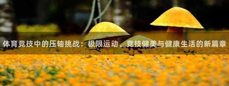 哈哈体育下载：体育竞技中的压轴挑战：极限运动、竞技健美与健康生活的新篇章