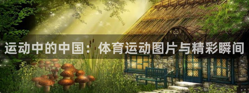 哈哈体育：运动中的中国：体育运动图片与精彩瞬间