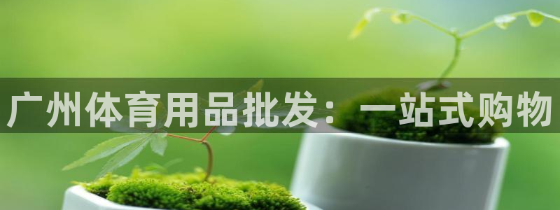 哈哈体育：广州体育用品批发：一站式购物