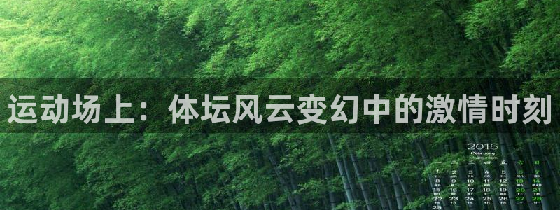 哈哈体育十年：运动场上：体坛风云变幻中的激情时刻