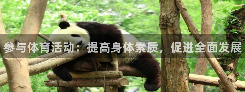 哈哈体育十年：参与体育活动：提高身体素质，促进全面发展
