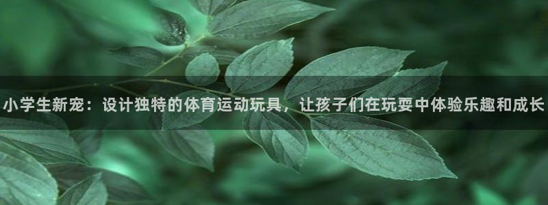 哈哈体育十年：小学生新宠：设计独特的体育运动玩具，让孩子们在玩耍中体验乐趣和成长