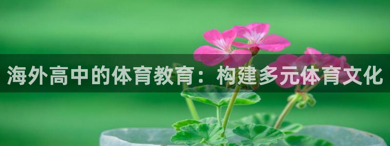 哈哈体育：海外高中的体育教育：构建多元体育文化
