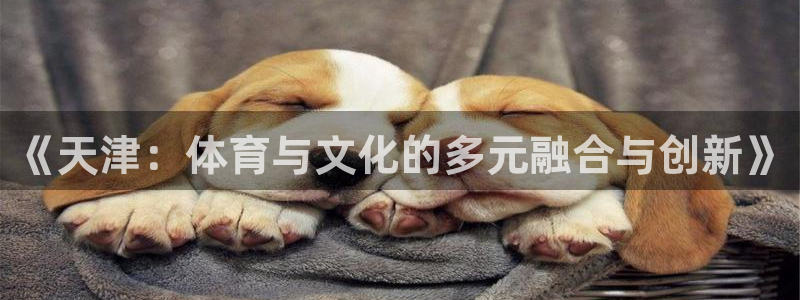 哈哈体育十年：《天津：体育与文化的多元融合与创新》
