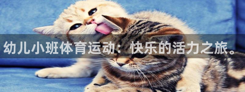 哈哈体育下载：幼儿小班体育运动：快乐的活力之旅。